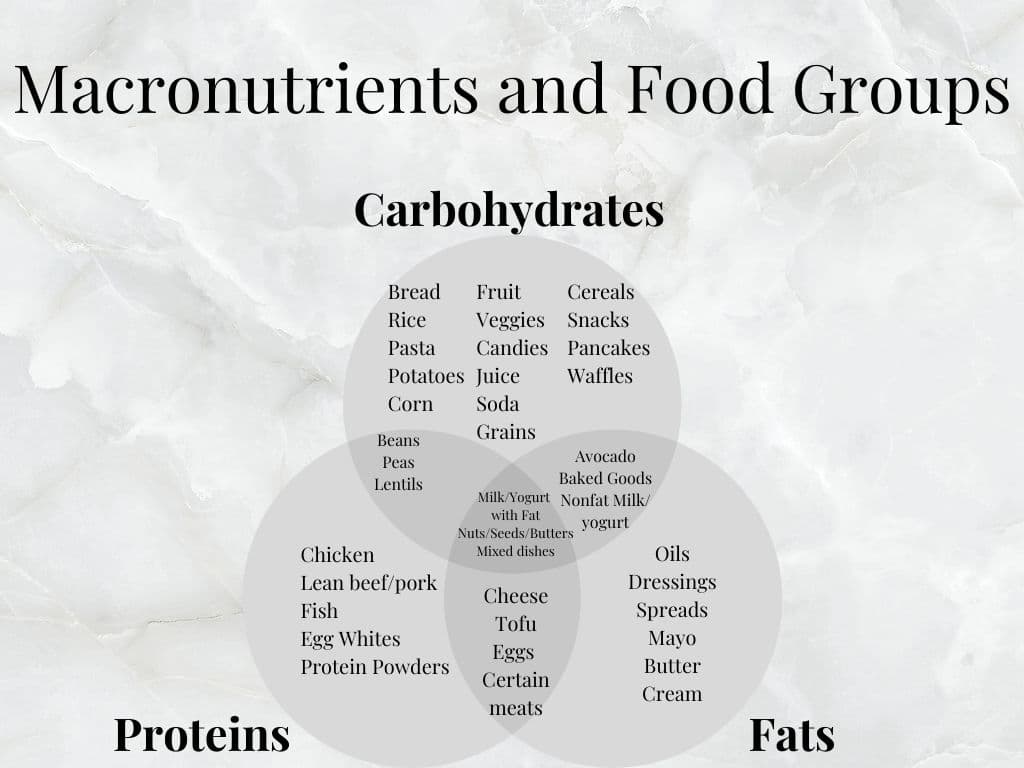 a three-way venn diagram outlining the three macronutrients and which food groups provide them