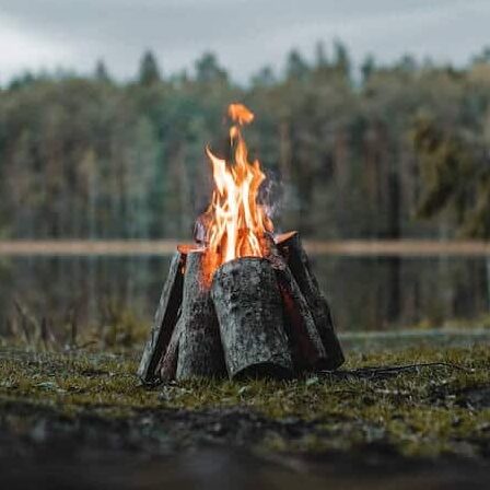 an image of a fire pit outside with a lake and pine trees in the background.